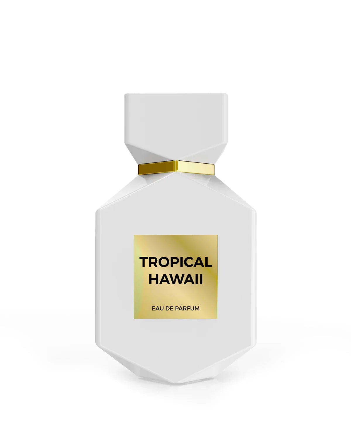 Tropical Hawaii - CAMARA